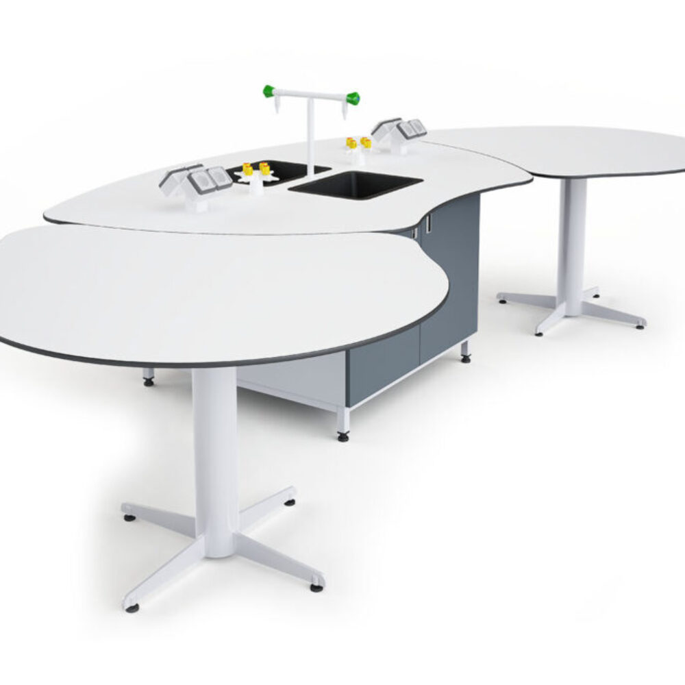 Chemistry - Biology Student Desk L01-21