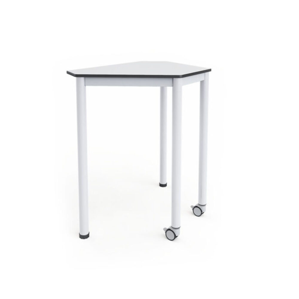 Physics Student Desk L01-51